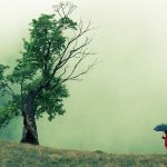 Baum im Nebel mit Menschen mt Schirm